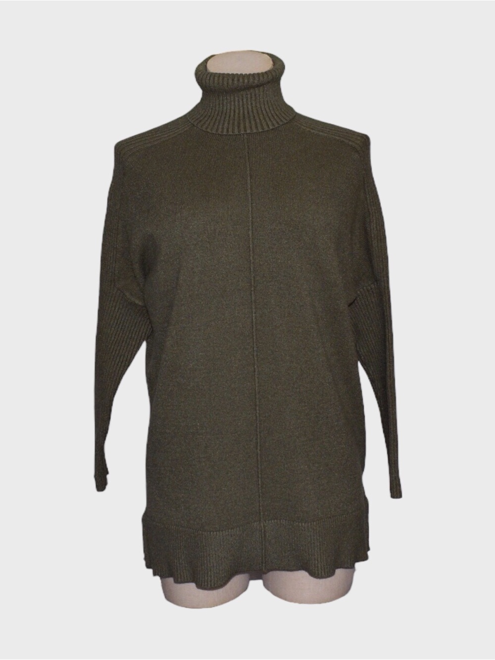 Time and Tru Turtleneck Tunic Sweater